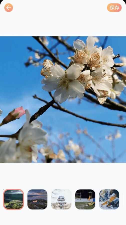 全民拍照大师 v3.0.1