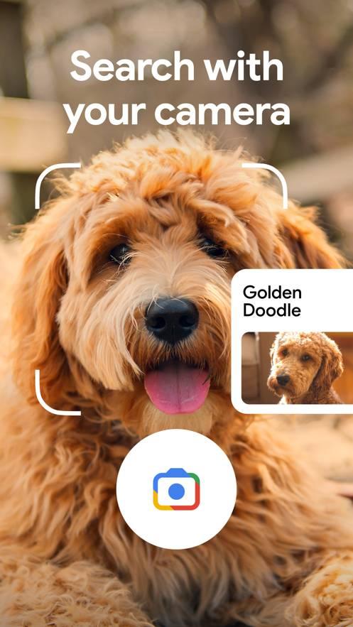 谷歌搜索免费版 v4.3.4