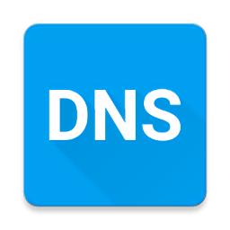 pure dns v1.0.1