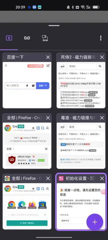 Fleet浏览器扩展插件 v5.3.3