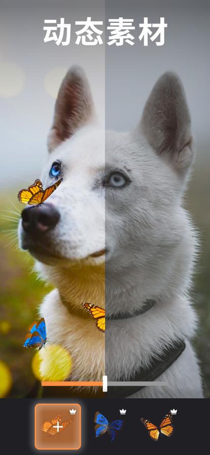 motionleap专业免费版 v4.3.3