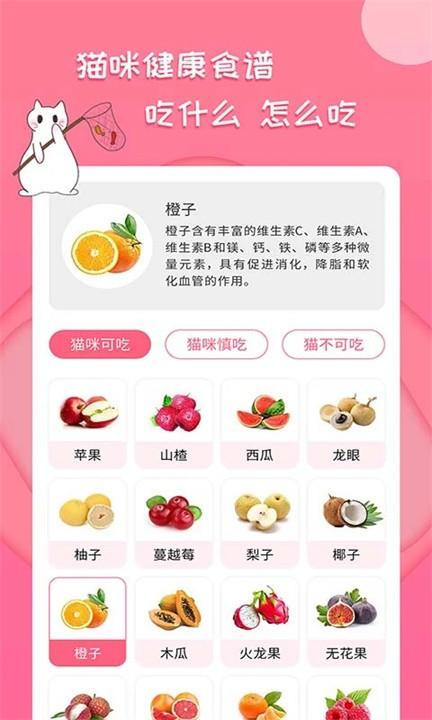 人猫翻译器软件 v6.4.1