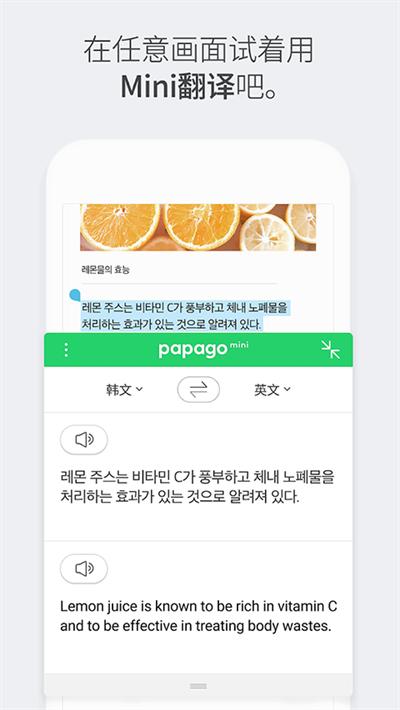papago韩语翻译 v4.0.4