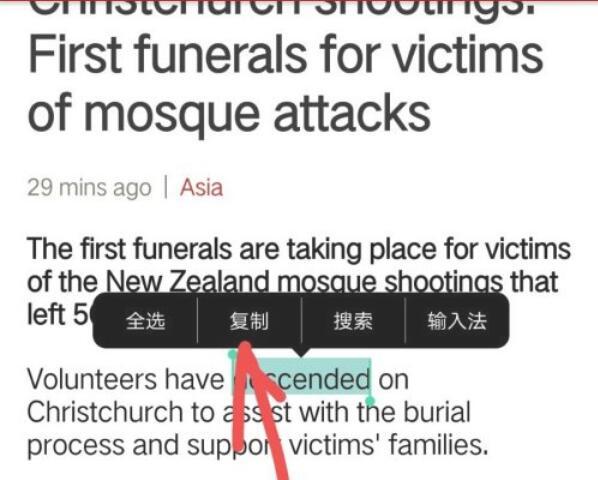 谷歌翻译专业版