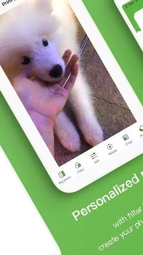 poooli打印机 v4.5.2