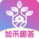 加禾趣答