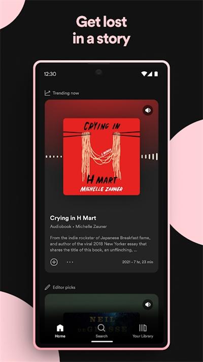 spotifymusic安装包 v4.1.2