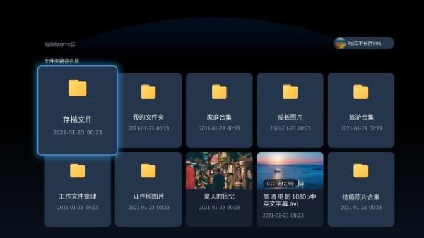 海康智存TV版 v4.1.1