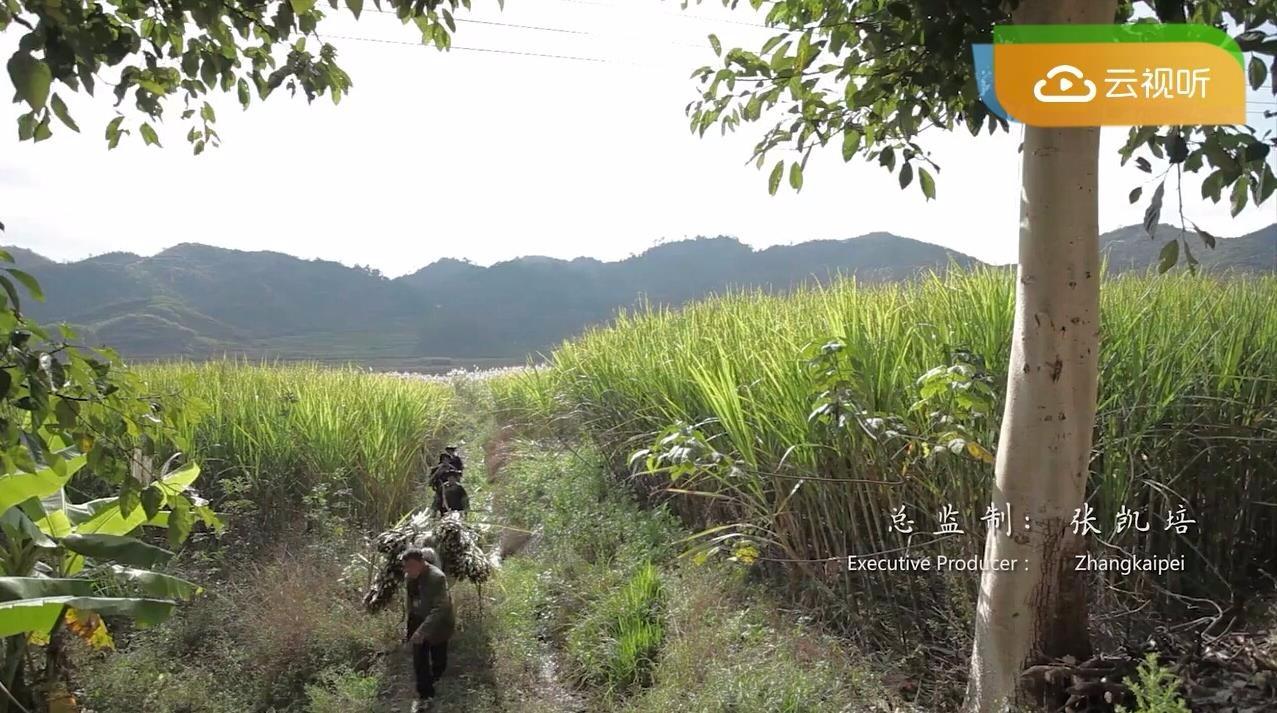 云视听小电视 v5.2.1