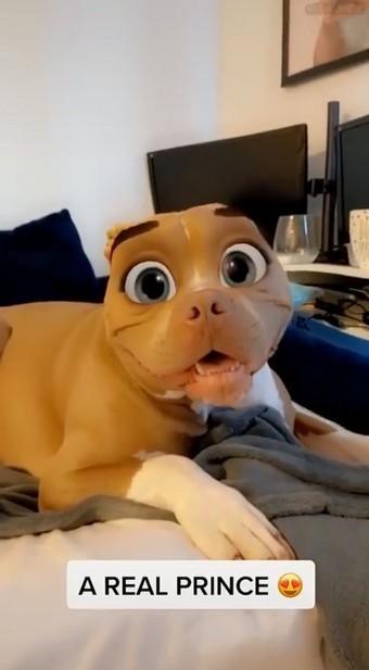 迪士尼滤镜 v5.0.1