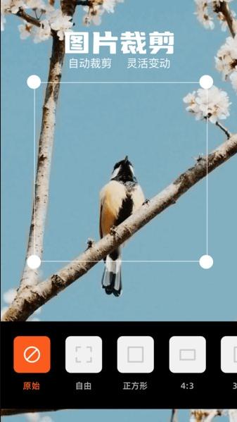 TeleMessaGram v6.0.1