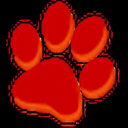 大猫影院安装包