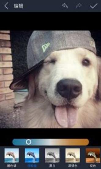 光影魔术手免费 v3.5.1