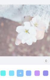 Rainbow彩虹相机 v5.0.3