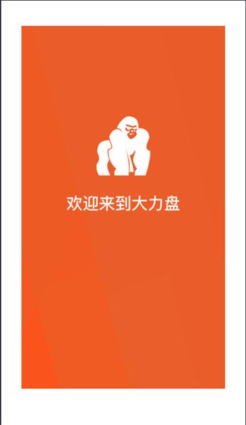 大力盘搜索引擎 v4.1.2