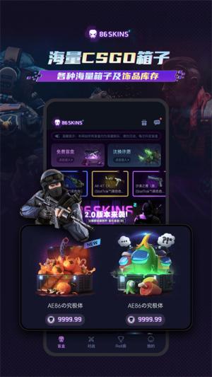 86skins开箱 v3.1.2