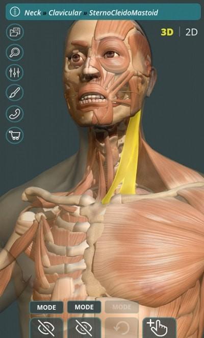 人体3D立体解剖 v3.4.1