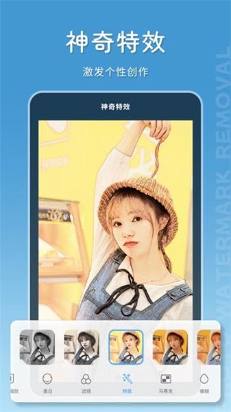 马赛克去除大师