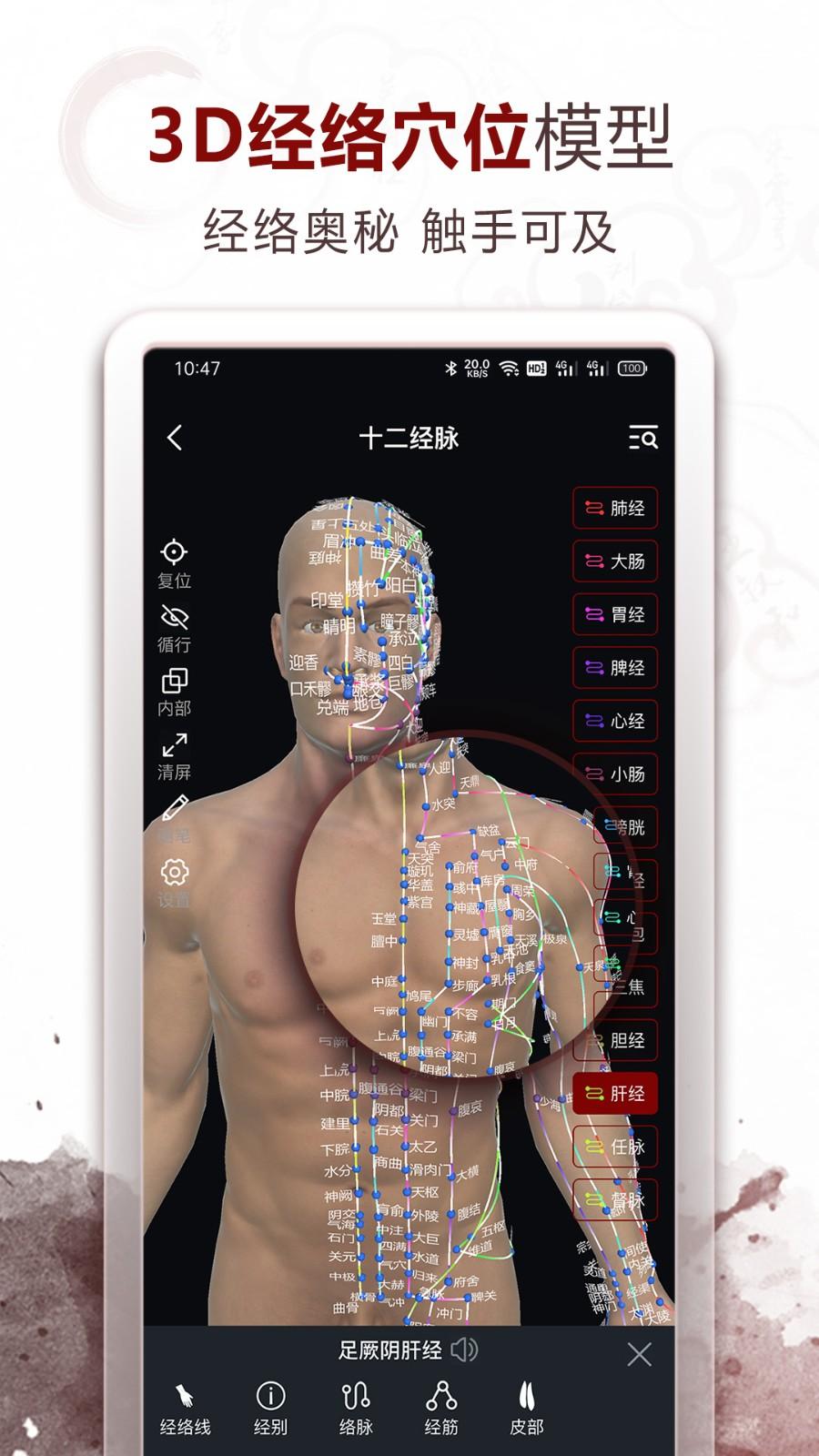中医经络穴位 v5.0.4