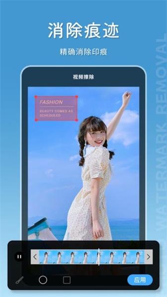 马赛克去除大师