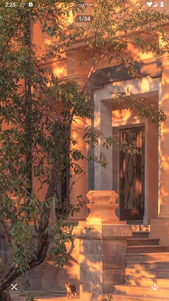 最后一卷相机软件 v6.1.3