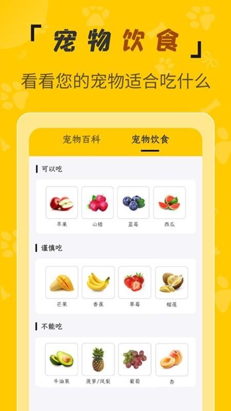 人猫翻译机 v4.4.4
