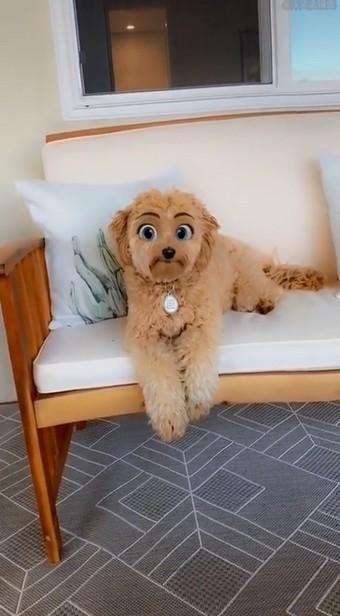 迪士尼滤镜 v5.0.1