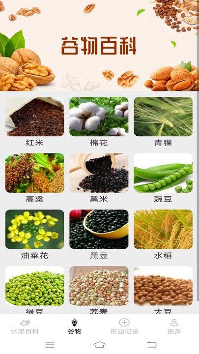 掌上果果多 v6.0.3