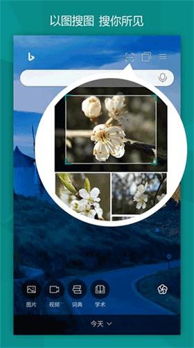 必应bing国际版 v5.5.1