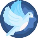 白鸽软件库移动客户端