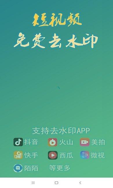 左游去水印 v3.1.3