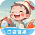 口袋百果