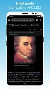 kiwi浏览器中文版 v4.4.2