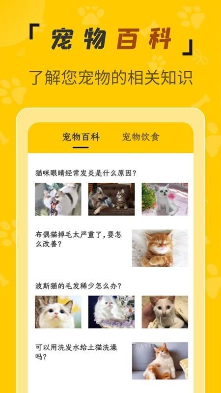 人猫翻译机 v4.4.4