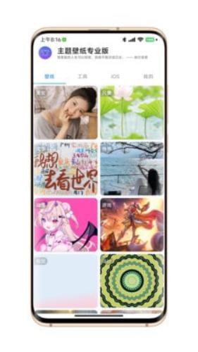 主题壁纸专业版免费