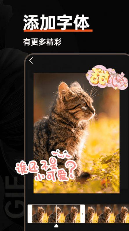 GIF动图制作器 v5.3.1