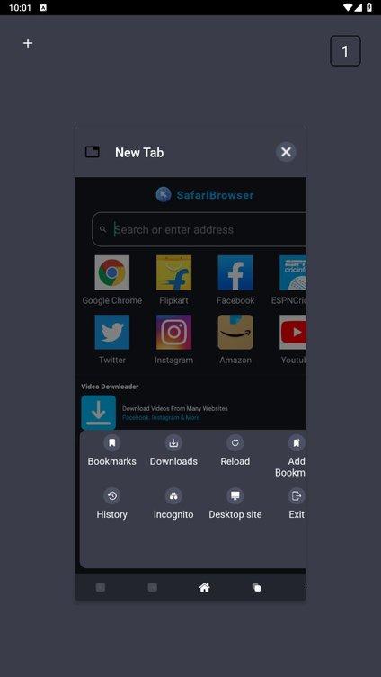 safari手机浏览器 v5.0.2