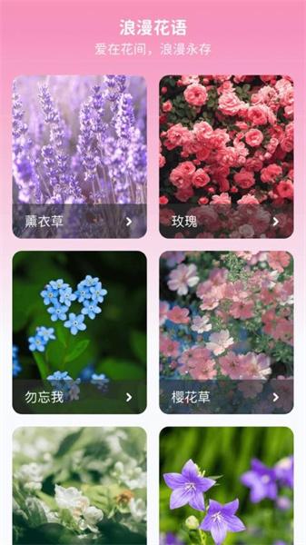 妙手生花 v4.5.3