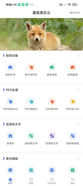 蘑菇易办公ppt v3.3.3