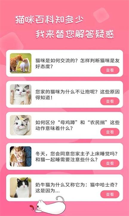 人猫翻译器软件 v6.4.1
