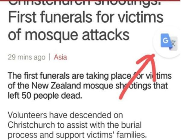 谷歌翻译专业版