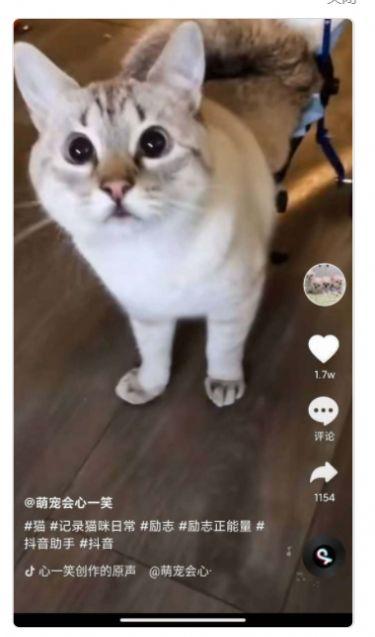 全民刷刷短视频 v4.4.2