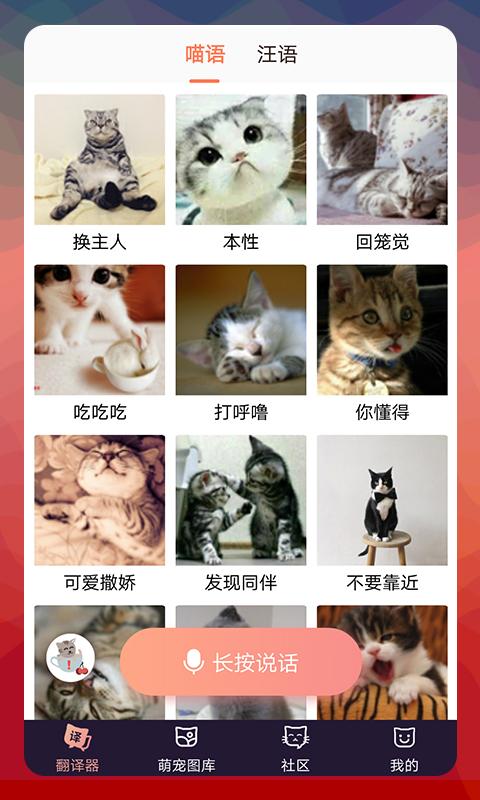 猫语翻译器中文版 v4.1.2