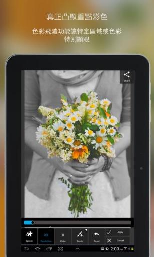 Pixlr照片处理 v3.5.3