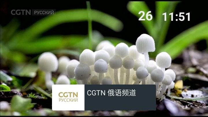 我的电视0 v5.4.3