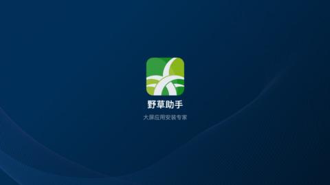 野草助手2024 v3.5.4