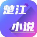 楚江小说