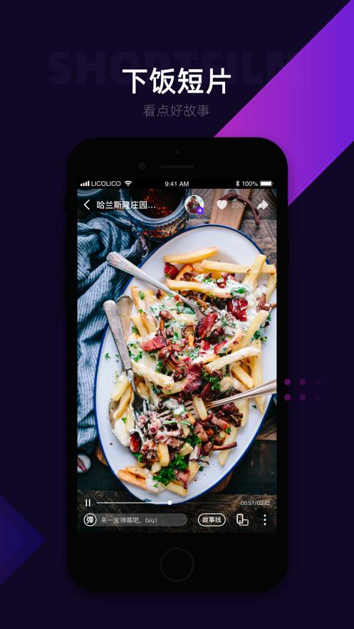 苹果版视频软件安装 v4.3.2