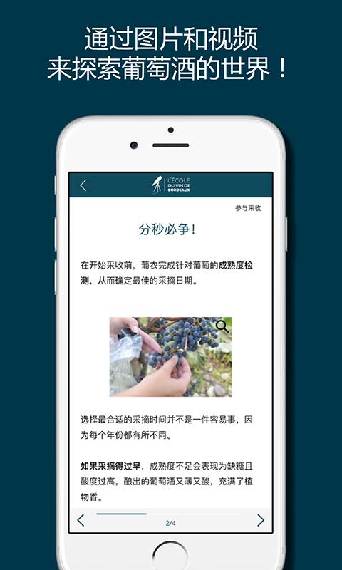 掌上波尔多 v6.3.2