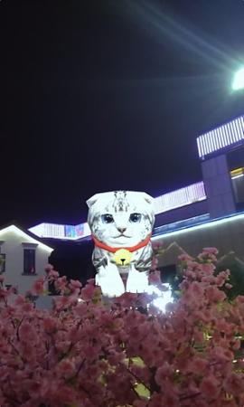 ar宠物相机 v5.1.4